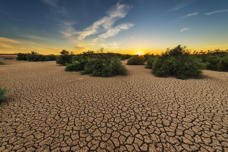 Drought and Wildfire Connection in California: How Nature's Resilience is Overcoming the Crisis